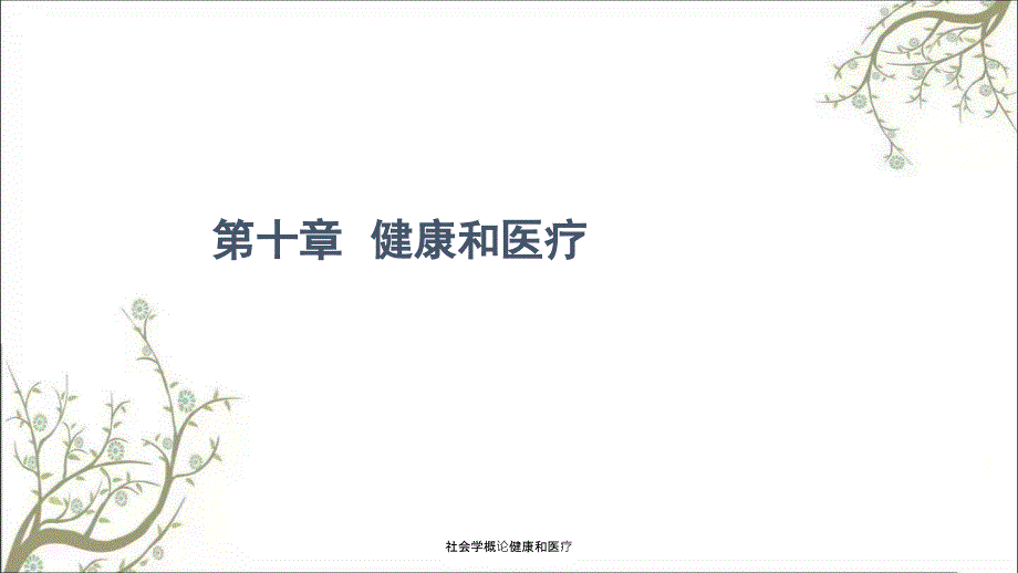 社会学概论健康和医疗.ppt_第1页