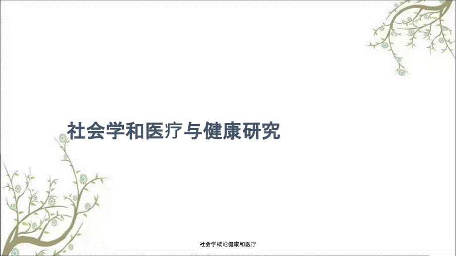 社会学概论健康和医疗.ppt_第3页