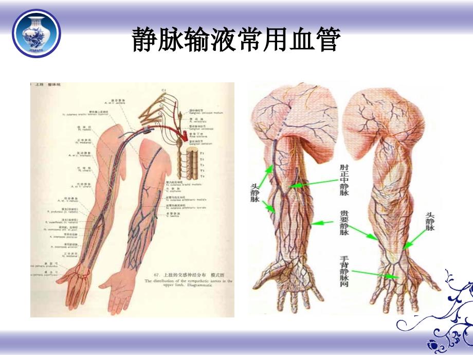 静脉炎的护理PPT课件.ppt_第2页