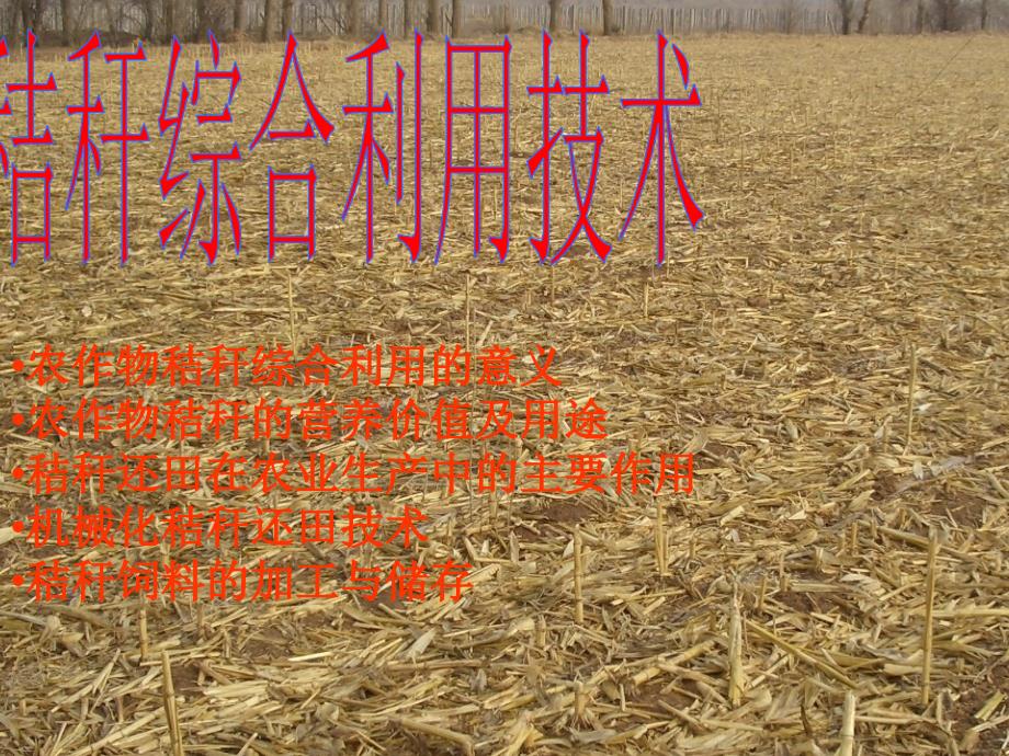 秸秆综合利用技术PPT课件.ppt_第1页