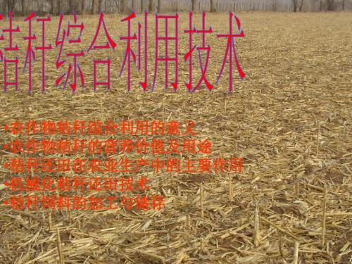 秸秆综合利用技术PPT课件.ppt