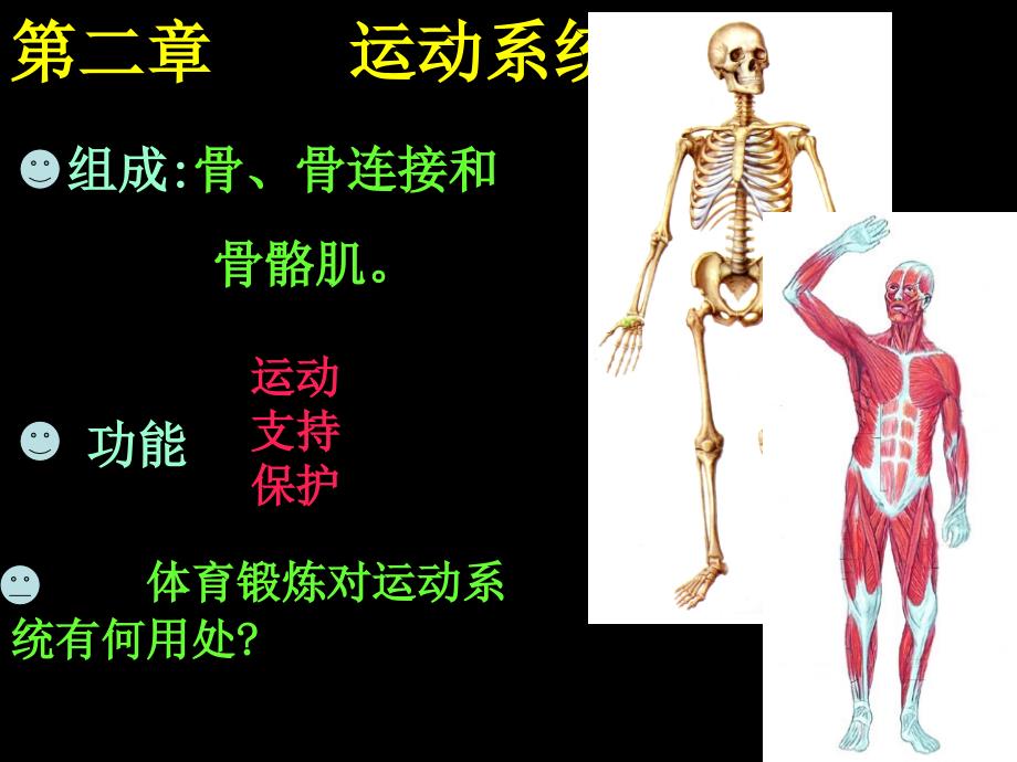 运动系统PPT课件.ppt_第1页