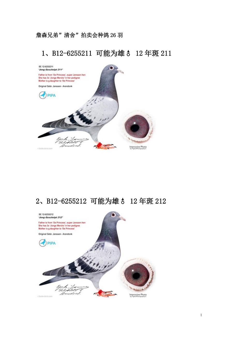 詹森兄弟清舍拍卖会种鸽26羽.doc_第1页
