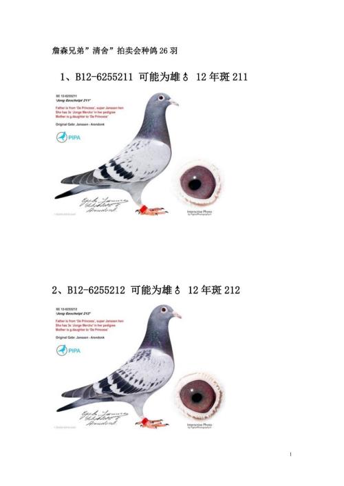 詹森兄弟清舍拍卖会种鸽26羽.doc