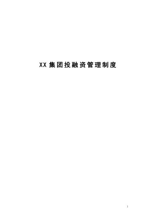 集团投融资管理制度.doc