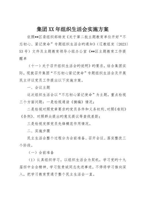 集团组织生活会实施方案.docx