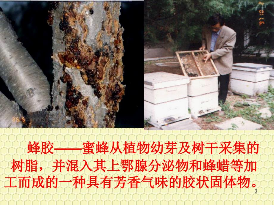 蜂胶科普讲座.ppt_第3页