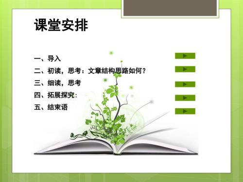 说木叶优秀PPT课件.ppt