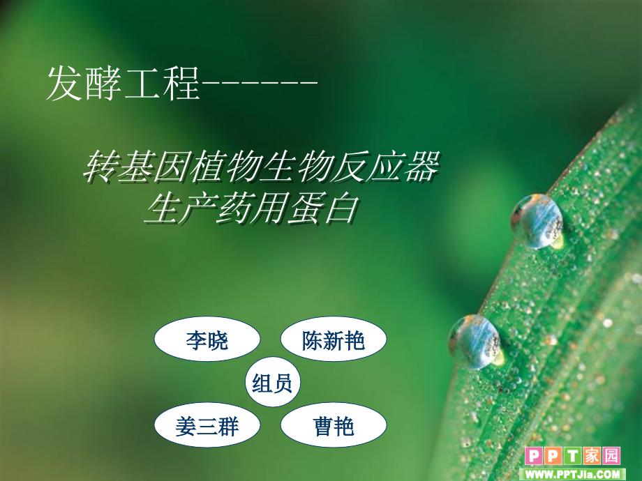 转基因植物反应器PPT课件.ppt_第1页