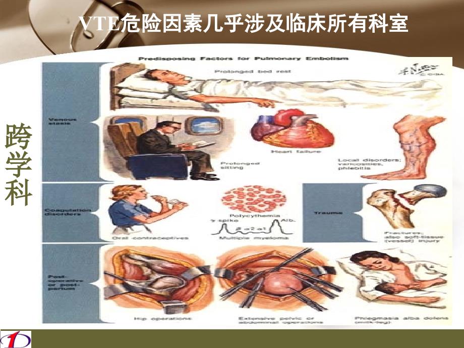 静脉血栓栓塞症诊治.ppt_第3页