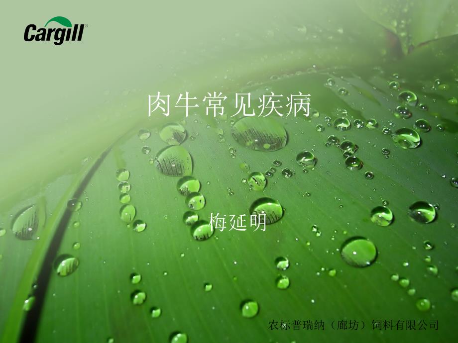 肉牛常见疾病PPT课件.ppt_第1页