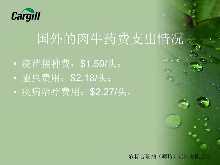 肉牛常见疾病PPT课件.ppt_第3页