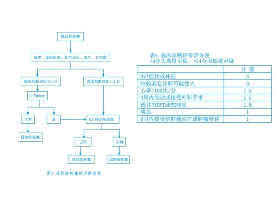 肺栓塞简洁版ppt课件.ppt_第3页