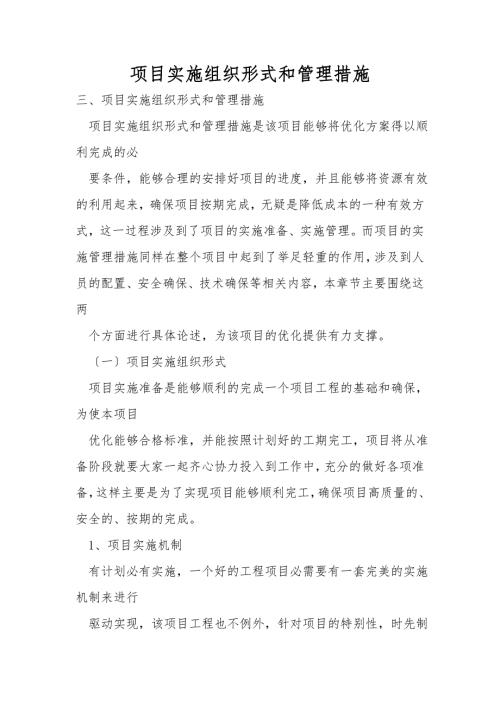 项目实施组织形式和管理措施.doc