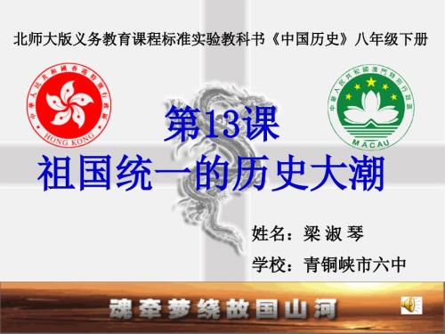 祖国统一的历史大潮.ppt