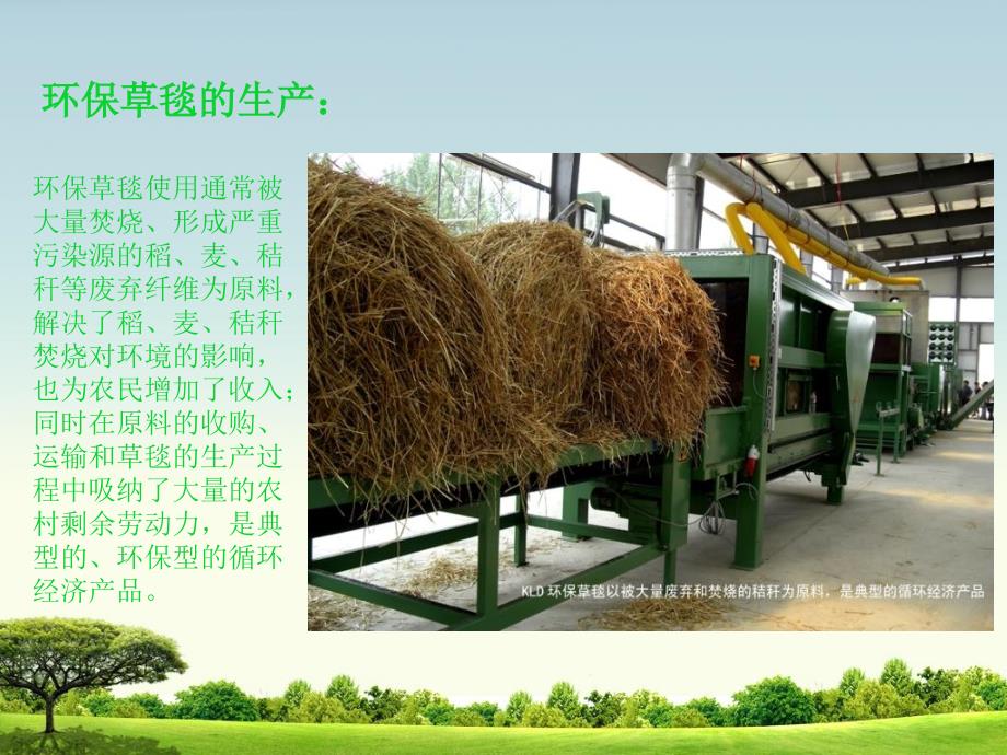 边坡生态修复解决方案详细介绍草毯.ppt_第3页