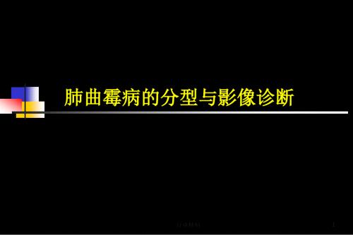 肺曲霉病的分型与影像诊断专家知识.ppt