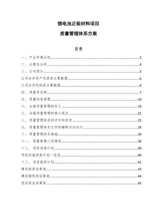 锂电池正极材料项目质量管理体系方案范文.docx