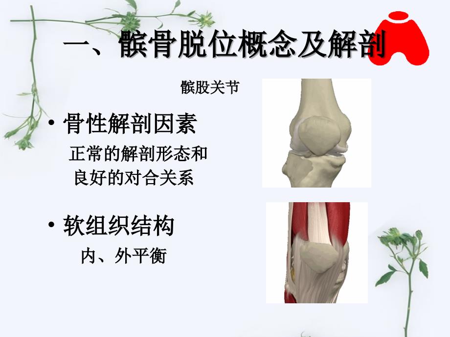 髌骨脱位课件.ppt_第2页