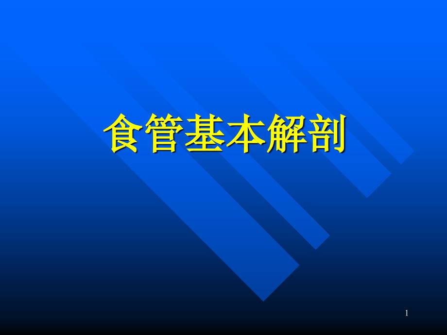 食管基本解剖PPT课件.ppt_第1页