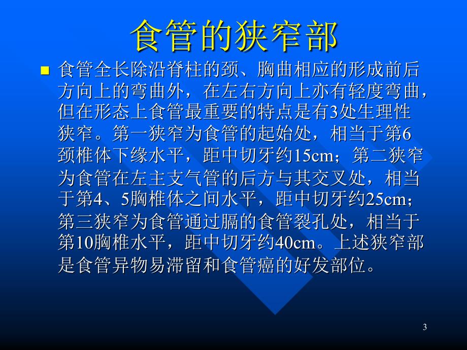 食管基本解剖PPT课件.ppt_第3页