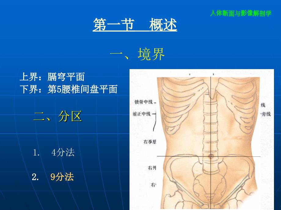腹部断层影像解剖学.ppt_第3页