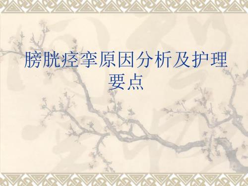 膀胱痉挛原因分析及护理要点.ppt
