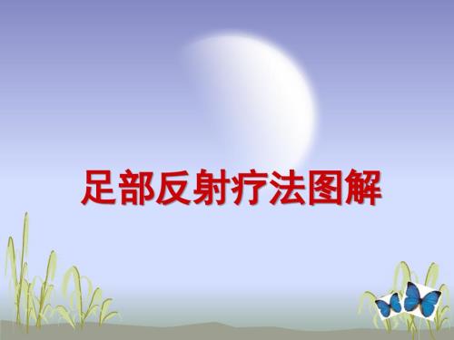 足部反射区疗法图解.ppt