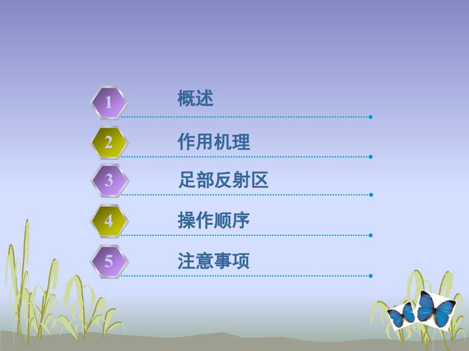 足部反射区疗法图解.ppt_第3页