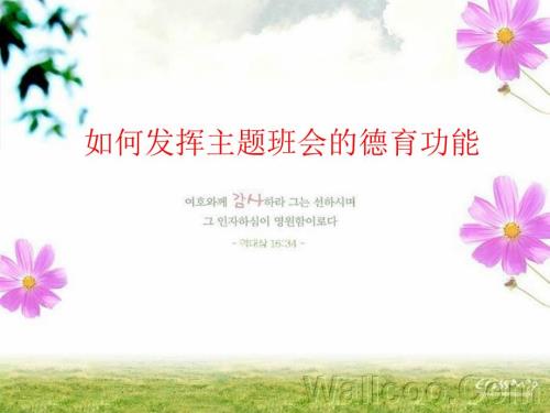高中班主任培训课件如何发挥主题班会的德育功能.ppt