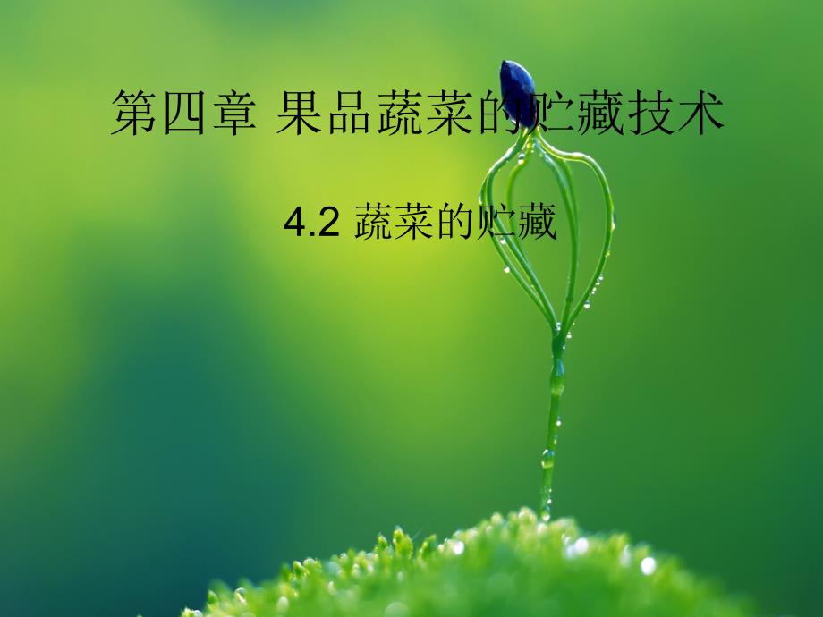 第四章果品蔬菜的贮藏技术.ppt.ppt_第1页