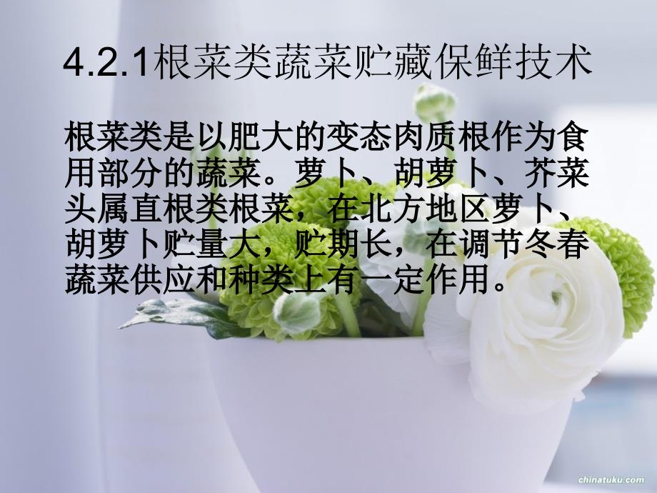 第四章果品蔬菜的贮藏技术.ppt.ppt_第3页