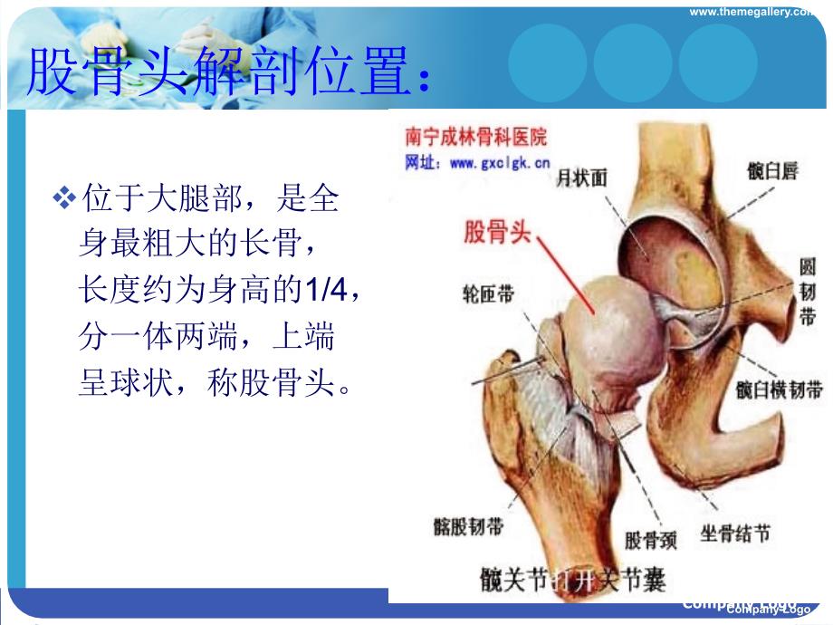 股骨颈骨折查房ppt课件.ppt_第3页