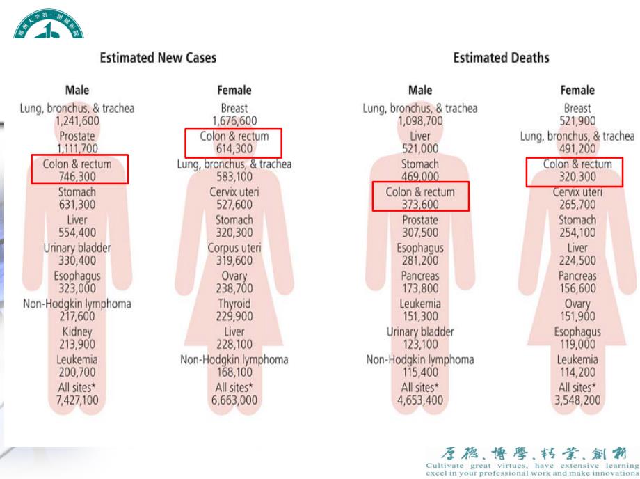 结直肠肿瘤的手术治疗.ppt_第3页