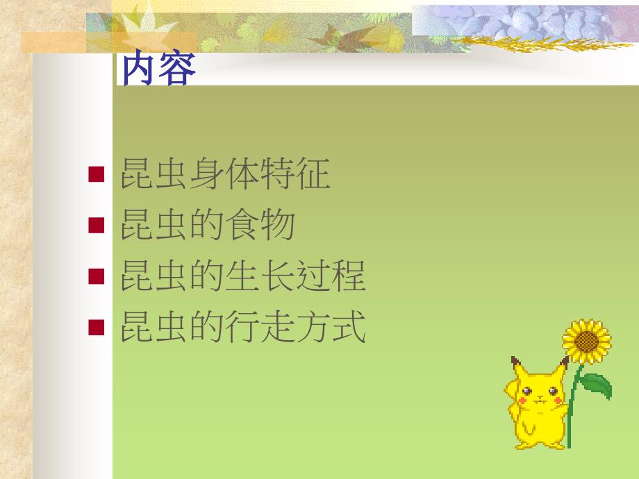 认识昆虫世界课件.ppt_第2页