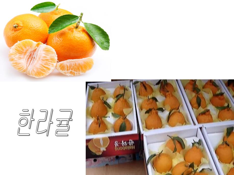 韩语教学教案PPT课件.ppt_第3页