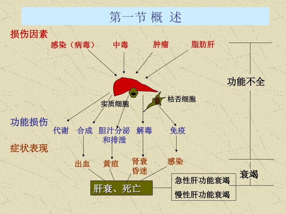 肝功能衰竭PPT课件.ppt_第2页