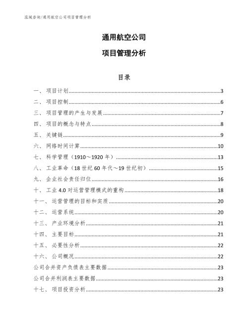 通用航空项目运营战略方案范文.docx