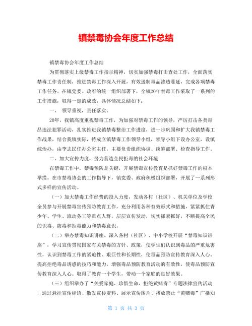 镇禁毒协会工作总结.doc