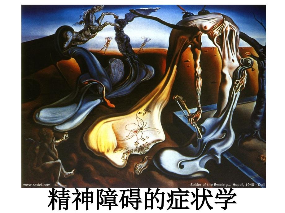 精神病的症状学.ppt_第3页