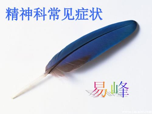 精神病的症状学.ppt