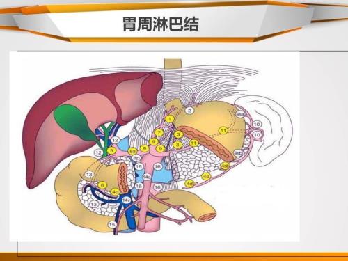 胃癌淋巴结分组.ppt