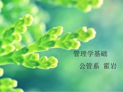 管理学说课pptPPT35页.pptx