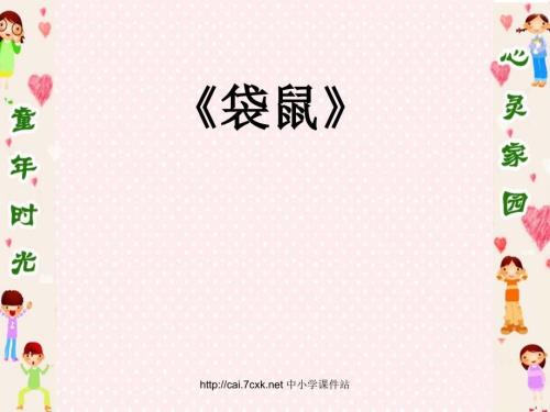 袋鼠PPT课件一.ppt