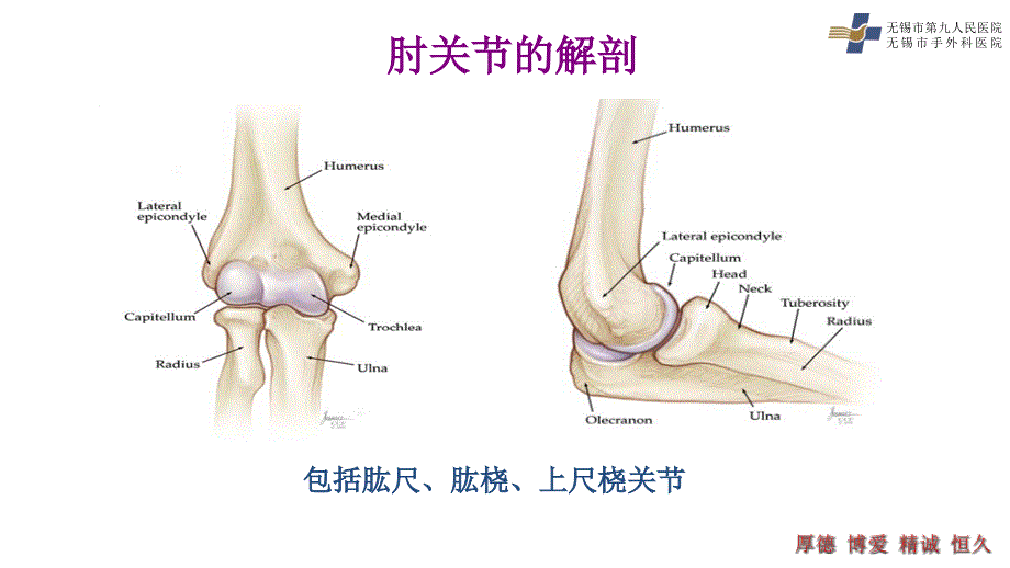 黎逢峰肘关节僵硬课件.pptx_第2页