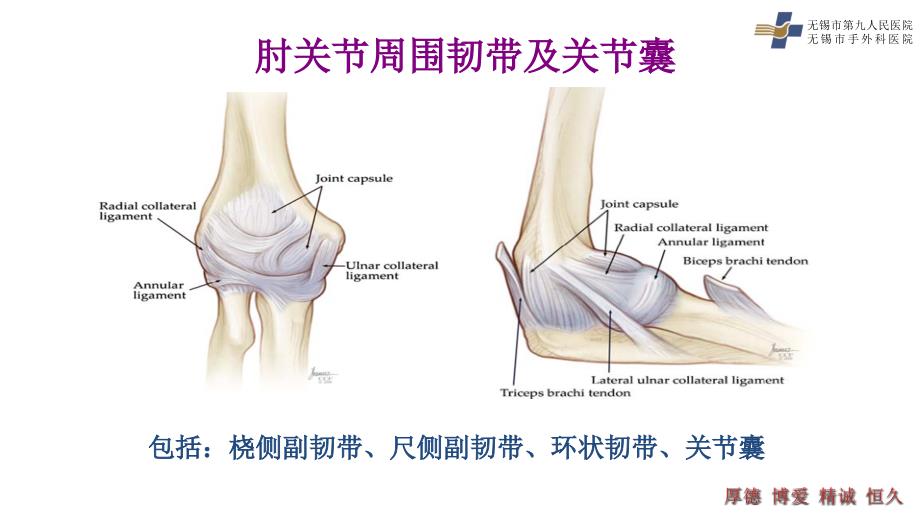 黎逢峰肘关节僵硬课件.pptx_第3页