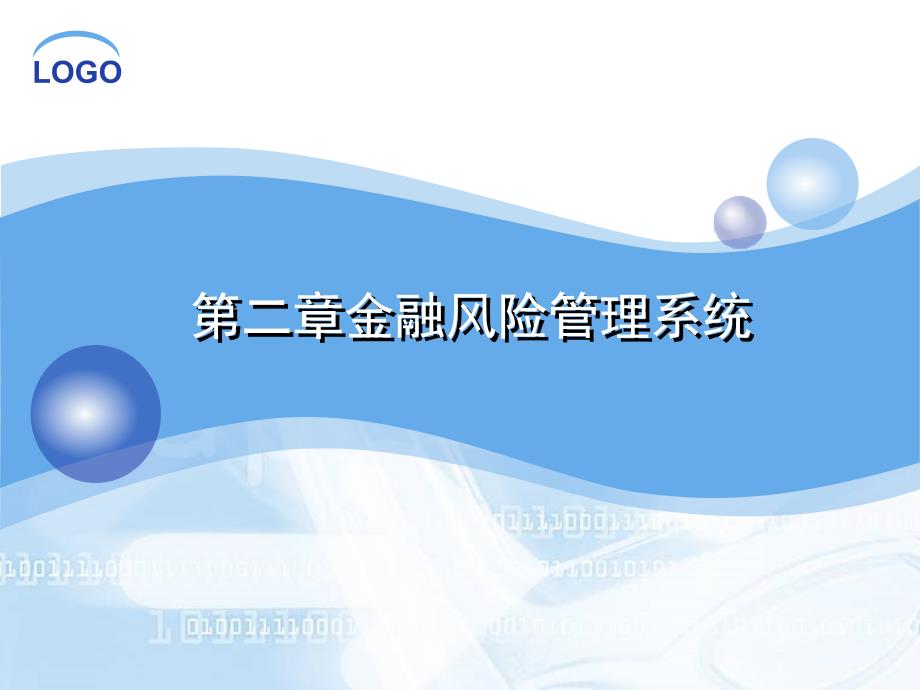 金融风险管理系统PPT课件.ppt_第1页