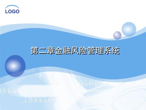 金融风险管理系统PPT课件.ppt
