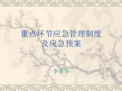 重点环节应急管理.ppt