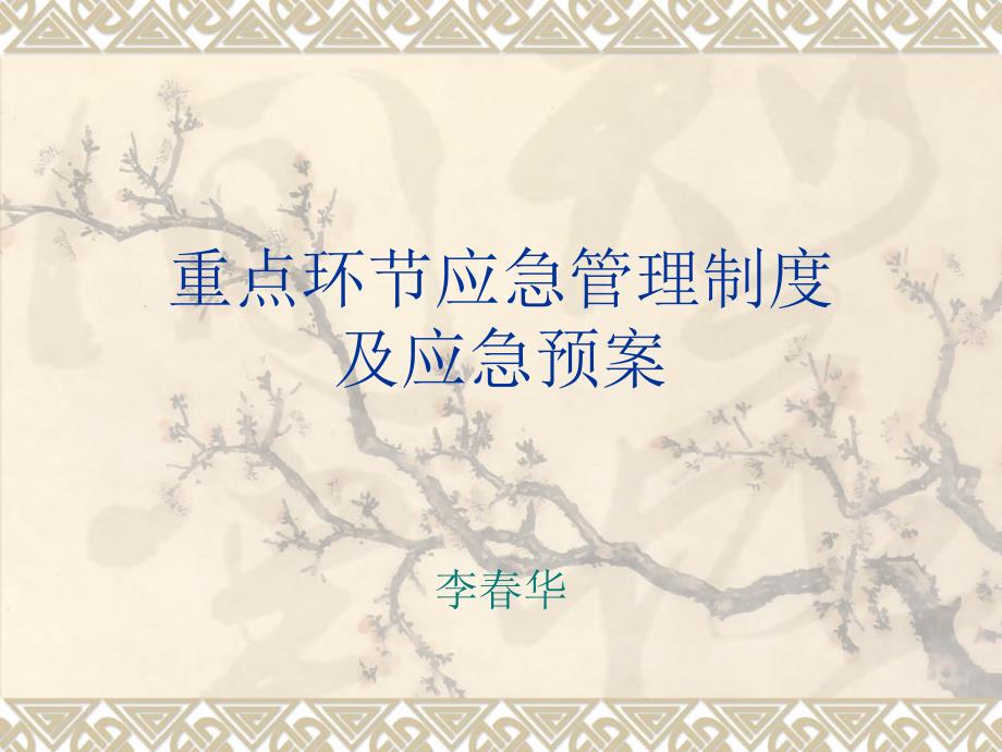 重点环节应急管理.ppt_第1页